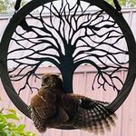 Sarah Korte Martin - @terrapinturtle - Instagram