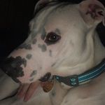 Sarah Krupp - @kruppedup - Instagram