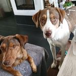 Sarah Se - @sarah.kruppa.9 - Instagram