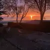 Sarah Laforge - @sarah.laforge0 - TikTok