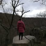 Sarah Lamm - @sarah.lamm.56 - Instagram