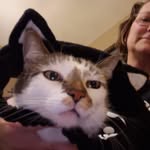 Sarah Lamm Elder - @teach.science.and.sleep - Instagram