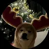 🥀🍂🐾🐾🐆sarah lamm🐺🐾🌿🍃 - @sarah.lamm - TikTok