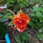 Sarah Langland - @sarahc.l.photography - Instagram