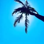 Sarah LaRock - @larock_brand - Instagram