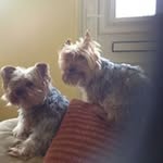 Sarah Lear - @lear0077 - Instagram
