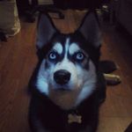 Leatherman "ramses"😄 - @sarah__leatherman - Instagram