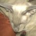Sarah Leech - Facebook