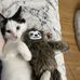 Sarah Lefkowitz - Facebook