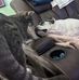 Sarah Lehner - Facebook