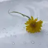 sarah leischner - @sarah.leischner - TikTok