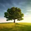 sara lemaster - @saralemaster - TikTok
