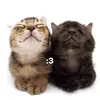 sarahleos - @sarahleos7 - TikTok