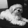Sarah Le Roy - @sarah.le.roy5 - TikTok