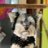 TikTokUser123 - @sarah-lessig - TikTok