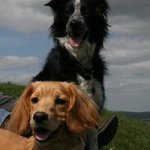 Sarah Leverett - @sarah_leverett - Instagram