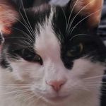 Sarah Leverett - @sarah_cartz1 - Instagram