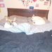 Sarah Liles - Facebook