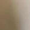 sarah_linnellx - @sarah_linnellx - TikTok