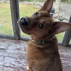 Sarah Linscott - Facebook