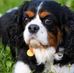 Sarah Lippe - Facebook