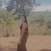 Sara Lis - Facebook
