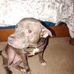 Sarah Locklear - Facebook