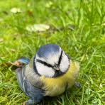 Sarah Lofthouse - Facebook