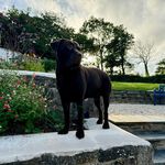 Sarah Lorimer Turner - @seslt - Instagram