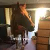 sarahlorimer71 - @sarah.lorimer2 - TikTok
