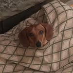 Sarah Lovering - @sarahlovering - Instagram