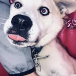 sarah - @sarah.lovering64 - Instagram