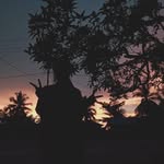 Sarah Lumban Gaol - @sarah_lumban_gaol - Instagram