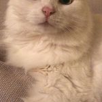 Sarah Parker Lyda - @splyda119 - Instagram