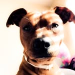 Sarah Lyle Photography - @sarahlyle_ - Instagram