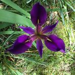 Sarah Lythgoe - Facebook