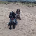 Sarah Macaskill - @sarah.macaskill.71 - Instagram