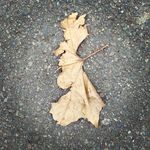 Sarah Macbeth - @slucym - Instagram