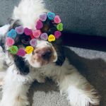 Sarah Mallery - @smallery08 - Instagram