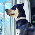 Sarah Marble - @rayas.adventures.220302 - Instagram