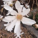 sarah maskell - @sarkellone - Instagram