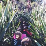 Sarah Maskell - @teaching.prep.r2 - Instagram