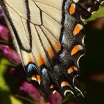 Sarah Masterson - @sams_photos1523 - Instagram