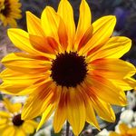 Sarah & Matthew - @ontario.explorers - Instagram