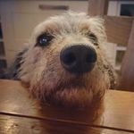Sarah Mattison - @smatt990 - Instagram