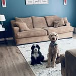 Sarah Mattison Bergbigler - @mattisonbergbigler - Instagram