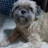 Sarah Matulac - @sarah.matulac - TikTok