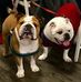 Sarah Maxfieldphillips - Facebook