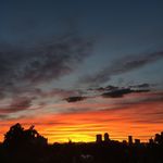 Sarah McAfee - @dragonsdenver - Instagram