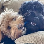Sarah McAfee - @sarah.mcafee.31 - Instagram